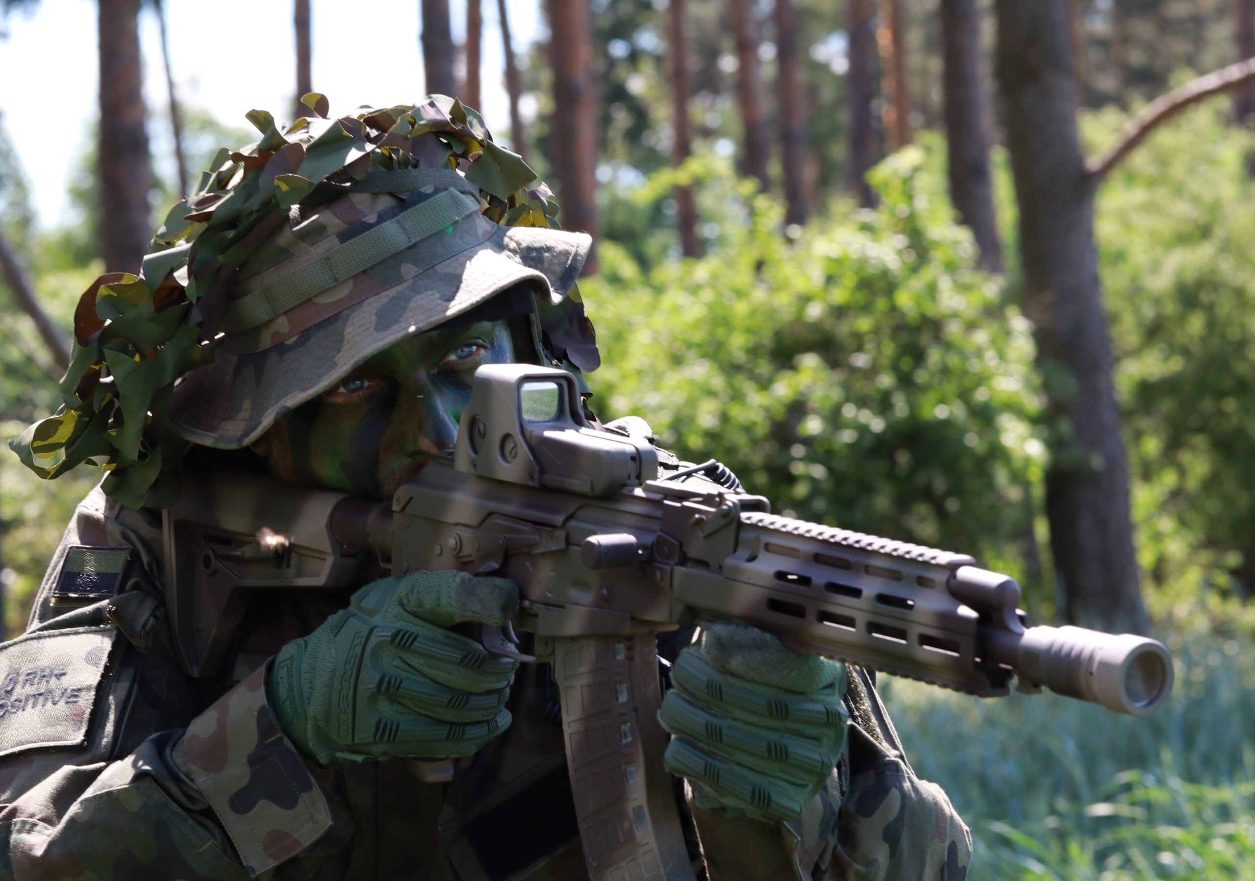 wz 93 Pantera – polska